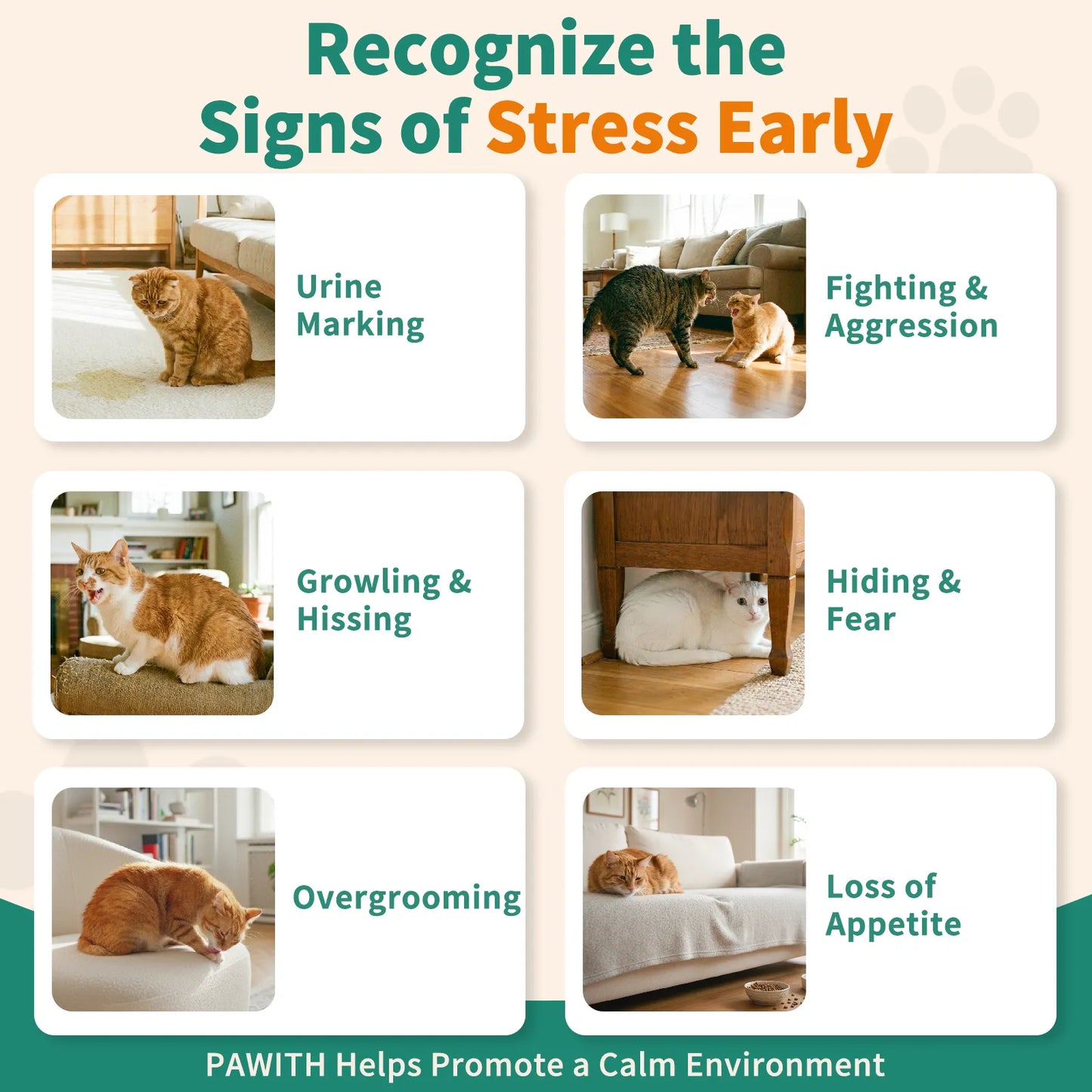 Cat Calming Diffuser Kit