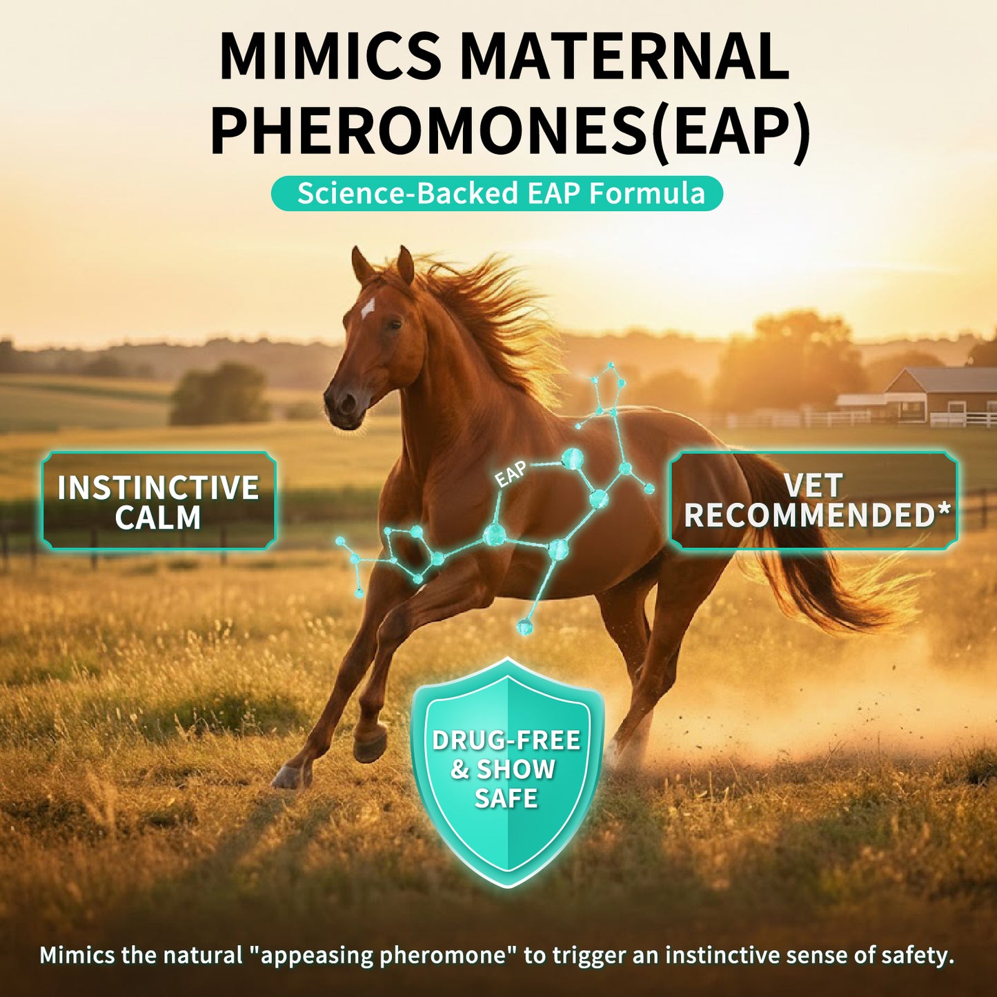 Equine Appeasing Pheromone