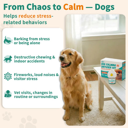 Dog Calming Diffuser Kit
