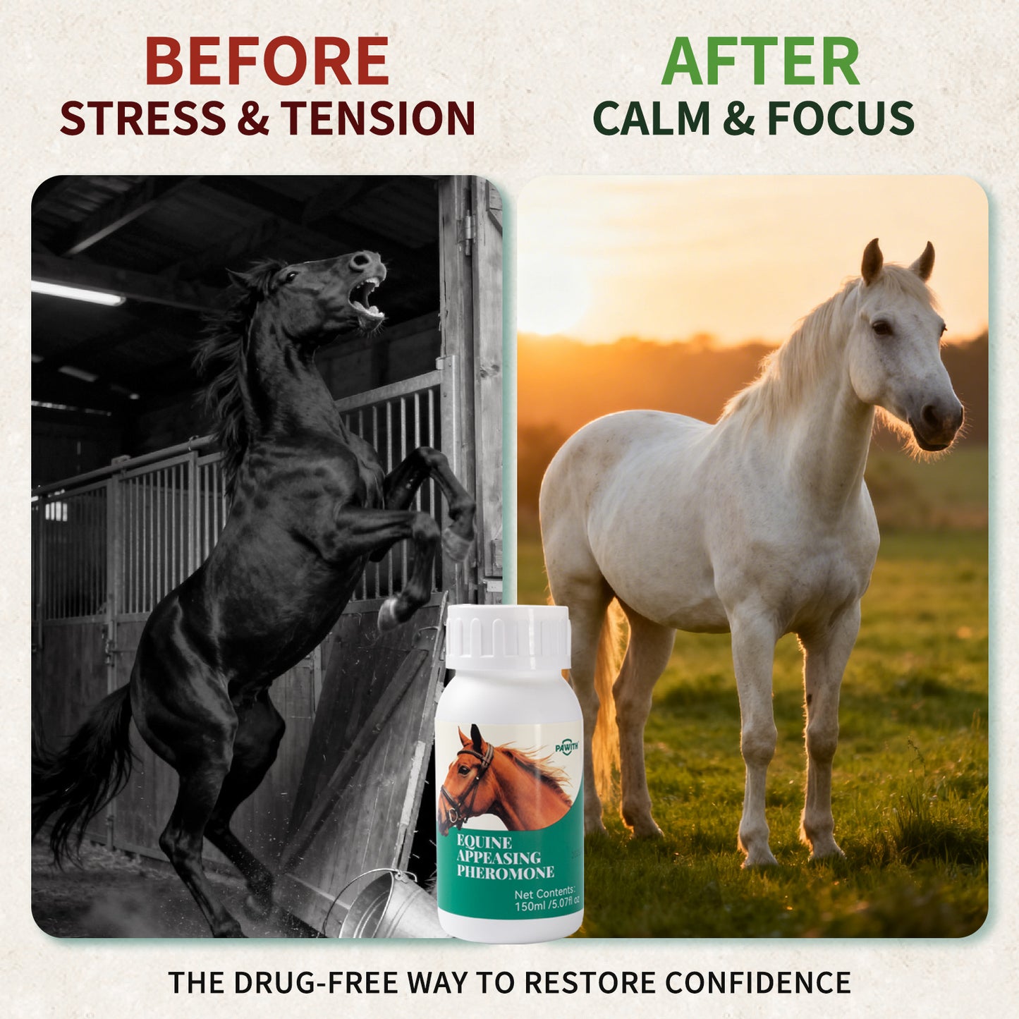 Equine Appeasing Pheromone