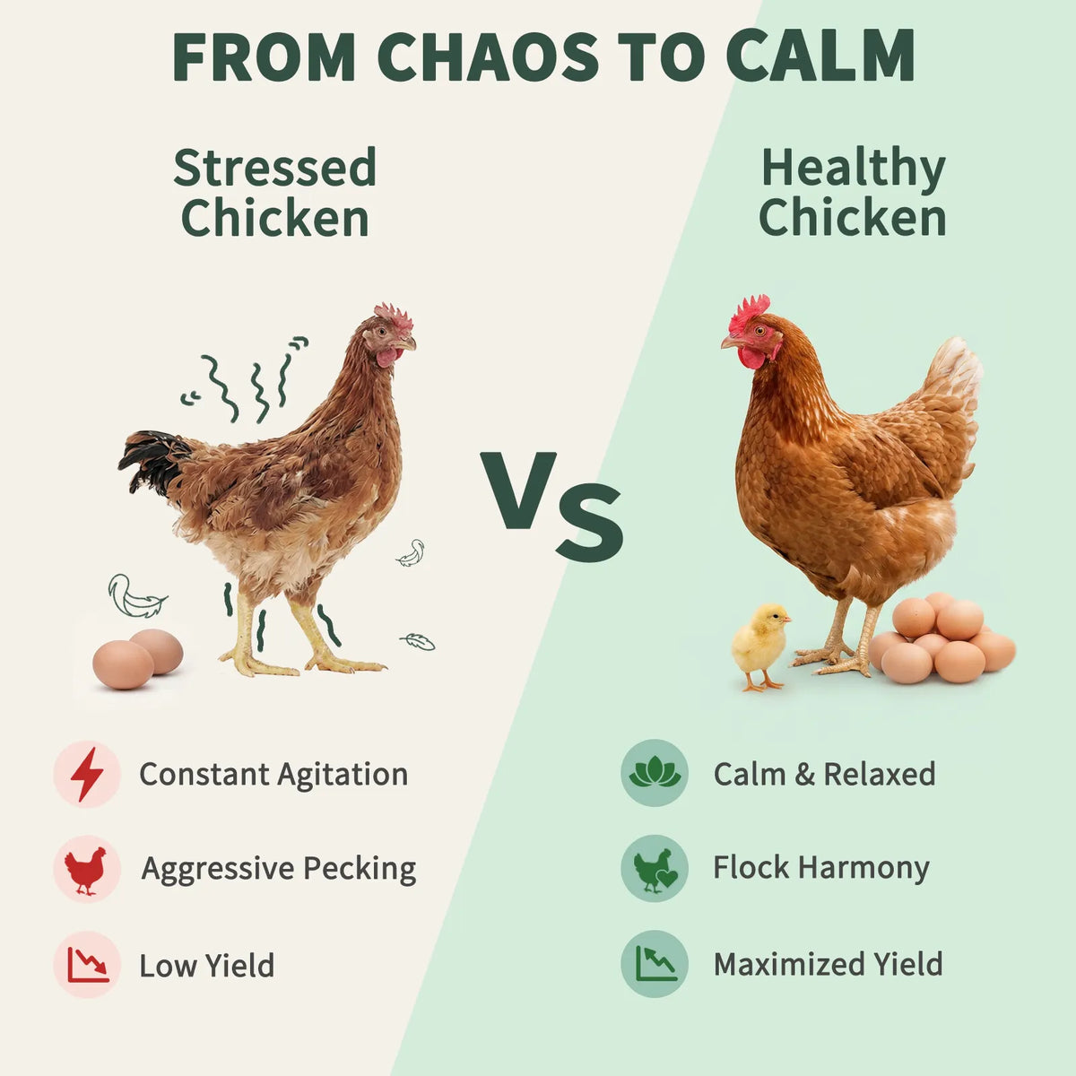 Poultry Appeasing Pheromone