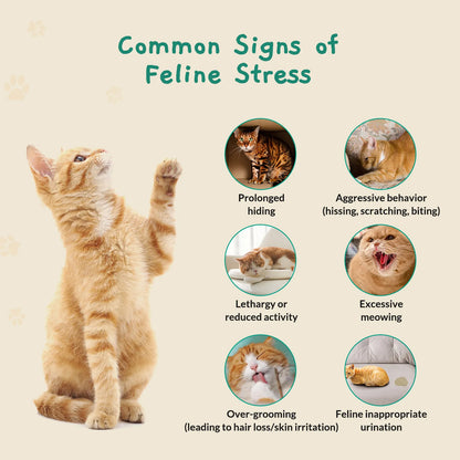 Cat Calming Diffuser